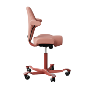 Flokk HÅG Capisco – Bild 4