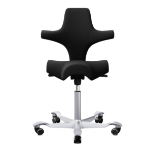 Flokk H&Aring;G Capisco